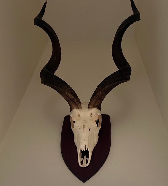 Image for Coming soon Big Game Sportsman online auction