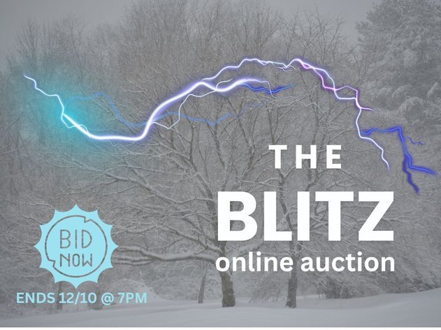Image for THE BLITZ
