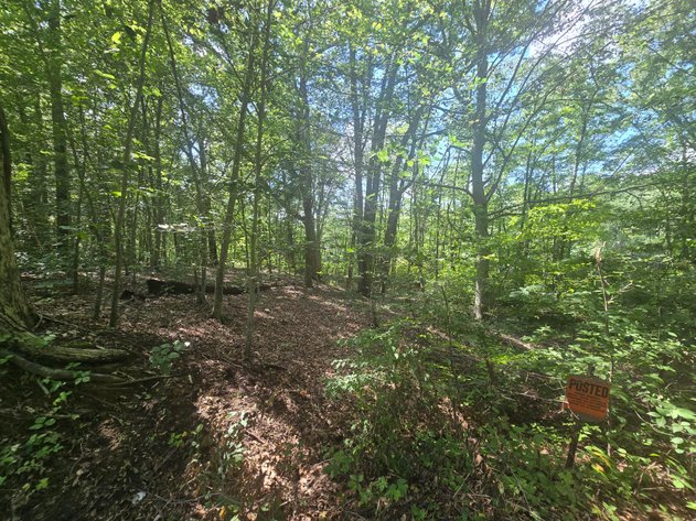 Image for Attention Builders and Dreamers...Check out this 3.96 +/- Acre Picture-Perfect Wooded Lot in Alloway Township