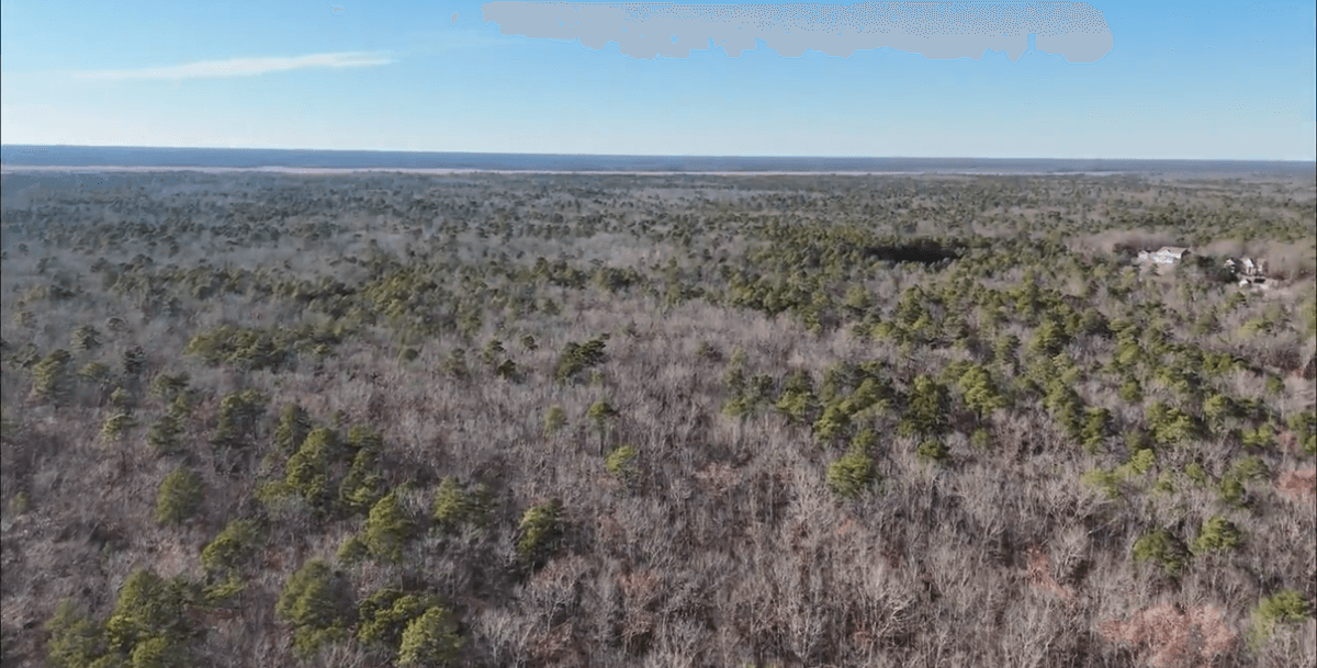 Image for 310 +/- Acres in Egg Harbor Township - Perfect Recreational Getaway