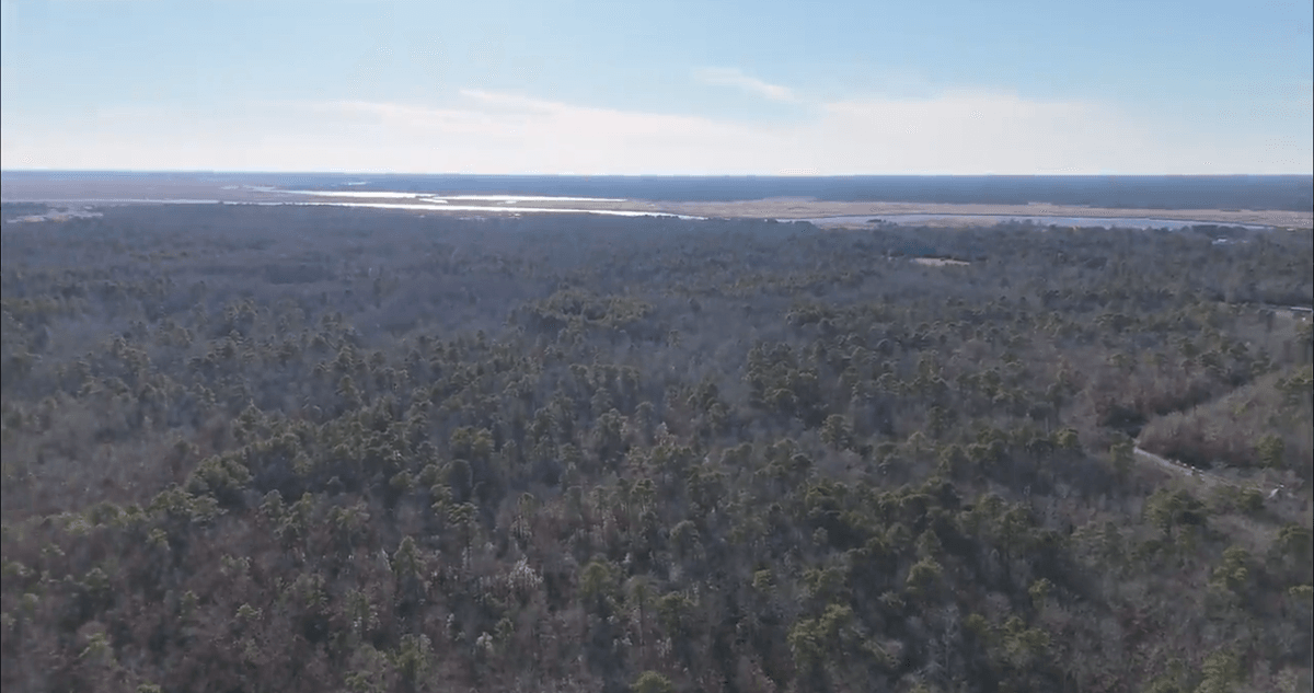 Image for 310 +/- Acres in Egg Harbor Township - Perfect Recreational Getaway
