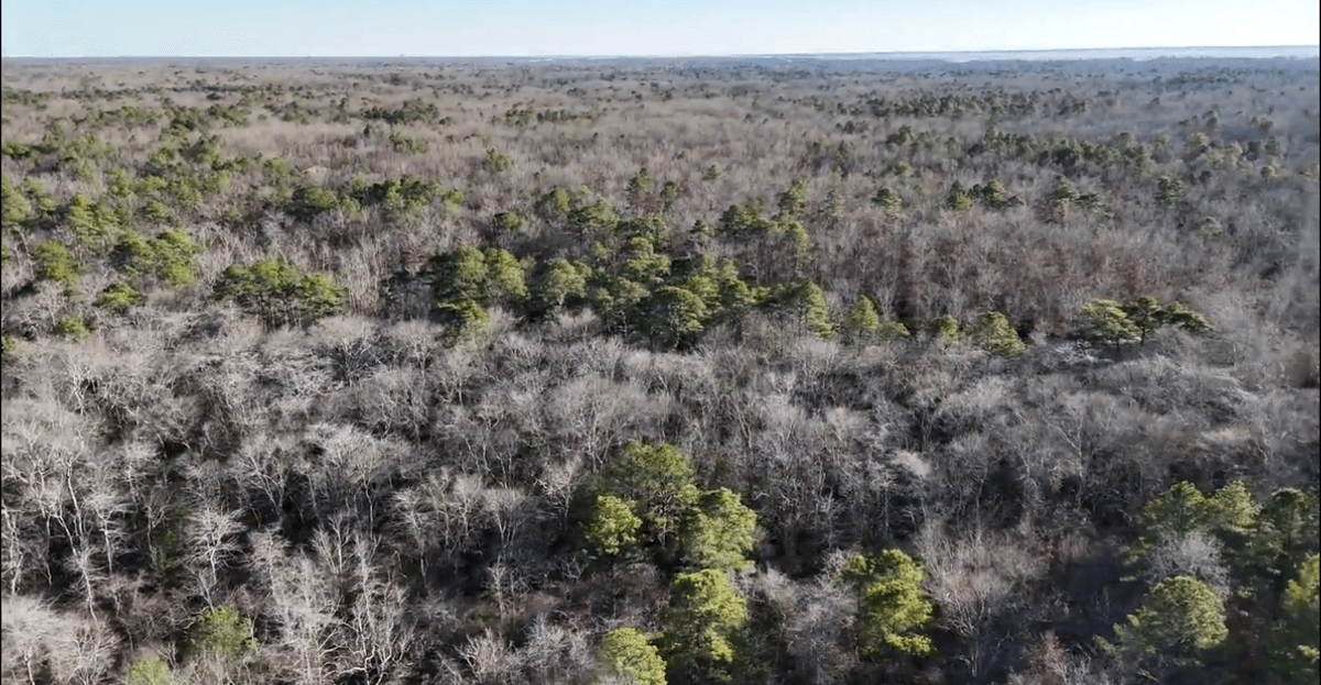 Image for 310 +/- Acres in Egg Harbor Township - Perfect Recreational Getaway