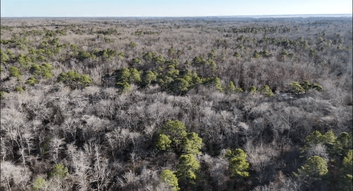 Image for 310 +/- Acres in Egg Harbor Township - Perfect Recreational Getaway