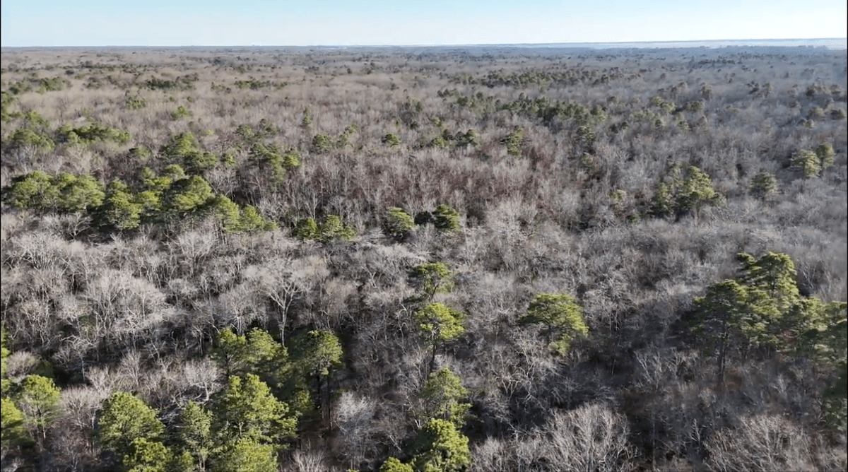 Image for 310 +/- Acres in Egg Harbor Township - Perfect Recreational Getaway