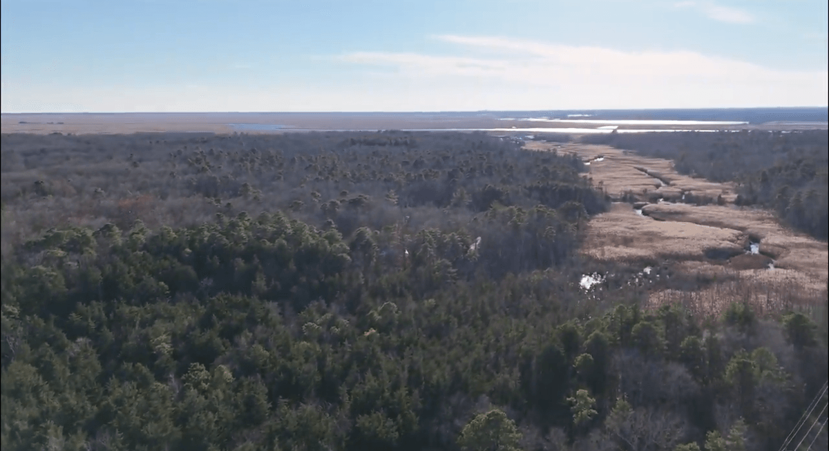 Image for 310 +/- Acres in Egg Harbor Township - Perfect Recreational Getaway