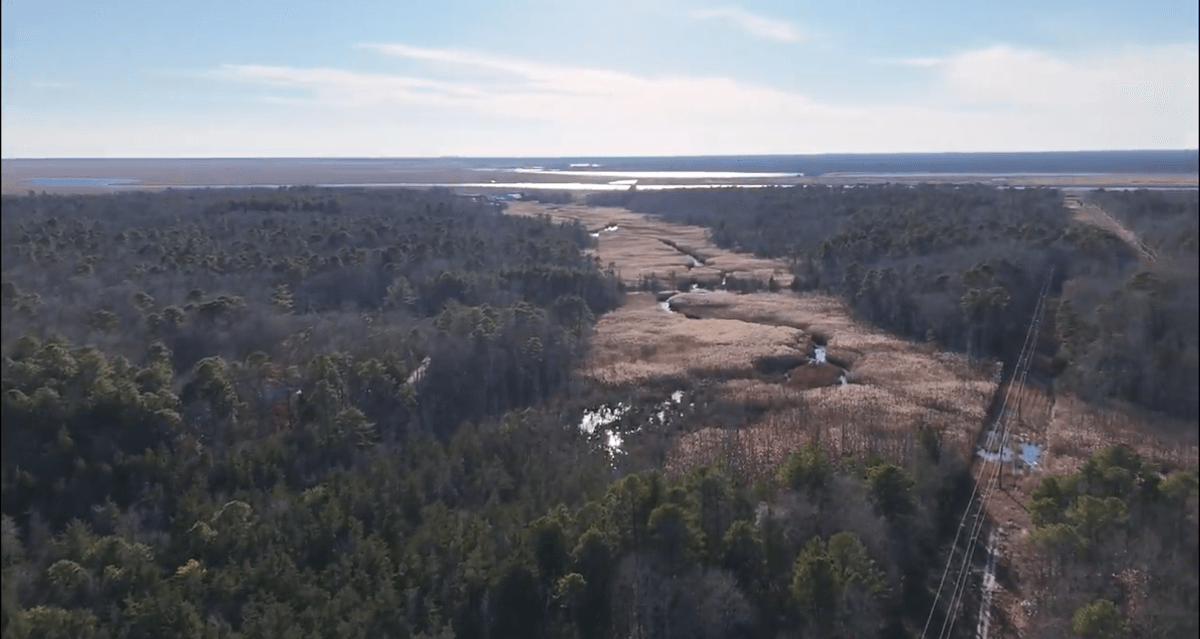Image for 310 +/- Acres in Egg Harbor Township - Perfect Recreational Getaway