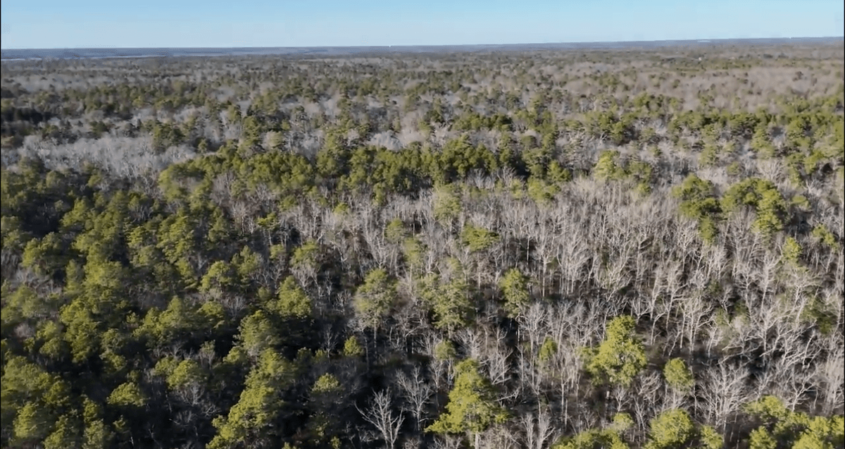 Image for 310 +/- Acres in Egg Harbor Township - Perfect Recreational Getaway