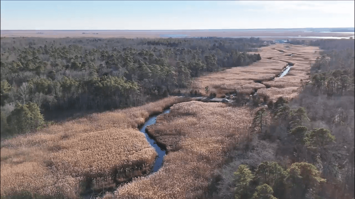 Image for 310 +/- Acres in Egg Harbor Township - Perfect Recreational Getaway