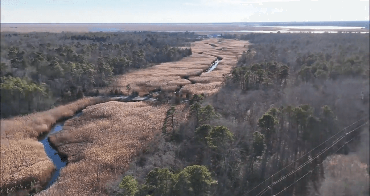 Image for 310 +/- Acres in Egg Harbor Township - Perfect Recreational Getaway