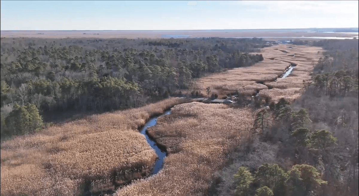 Image for 310 +/- Acres in Egg Harbor Township - Perfect Recreational Getaway