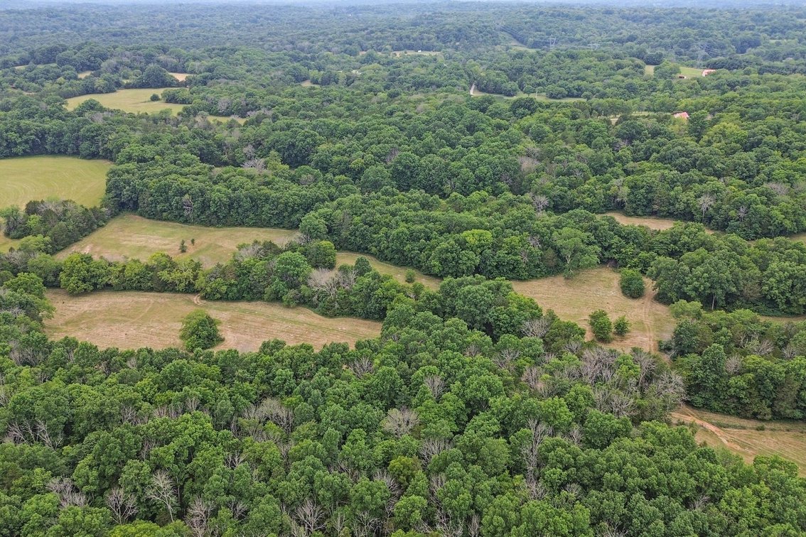 Image for 6770 Bly Trice Road, College Grove