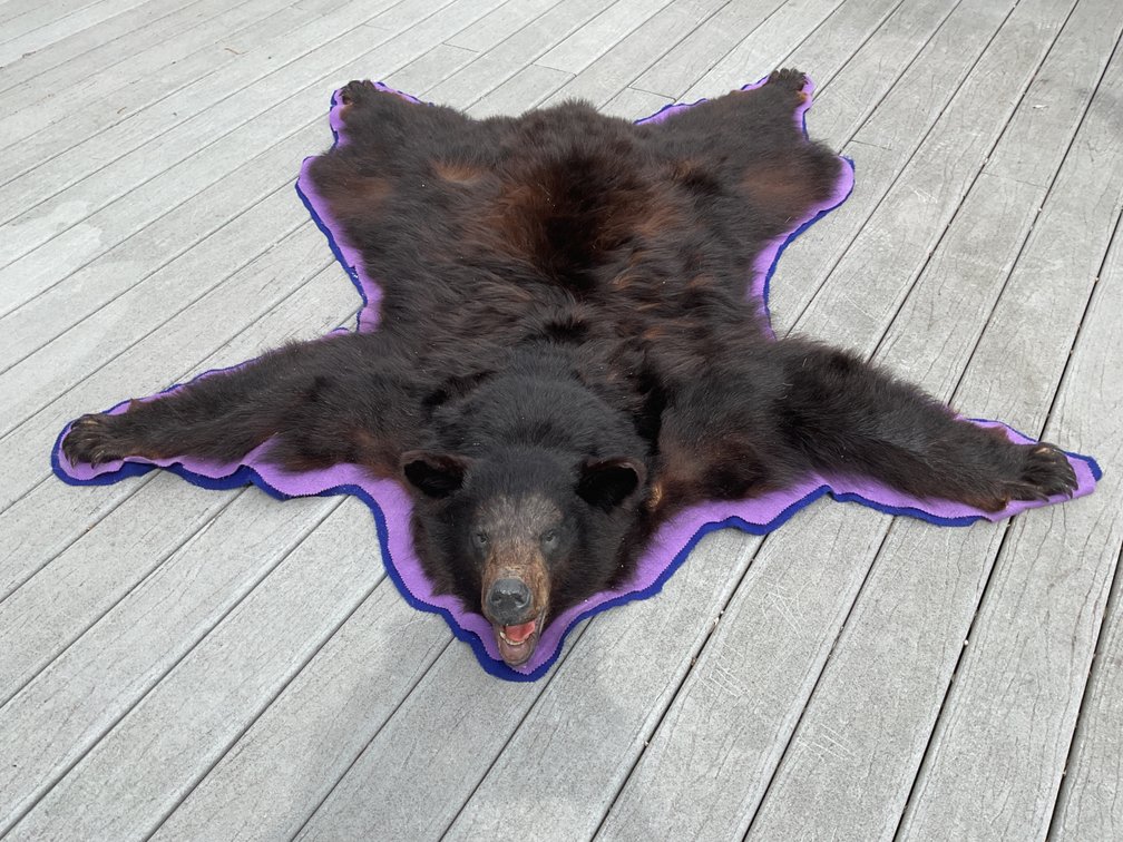 Image for Taxidermy Estate Sale | Oley, PA | June 1, 2026 at 8:00PM