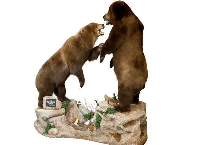 Image for Estate of Terry Mayer Taxidermy | East Greenville, PA | September 22, 2026 at 8:00