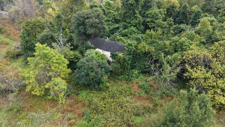 Image for Sealed Bid Land Auction | 8.6 Acres in Plumstead Twp | 5052 Silo Hill Rd, Doylestown, PA 18902 | Bids Due By Nov. 19, 2026 at 4:00 PM