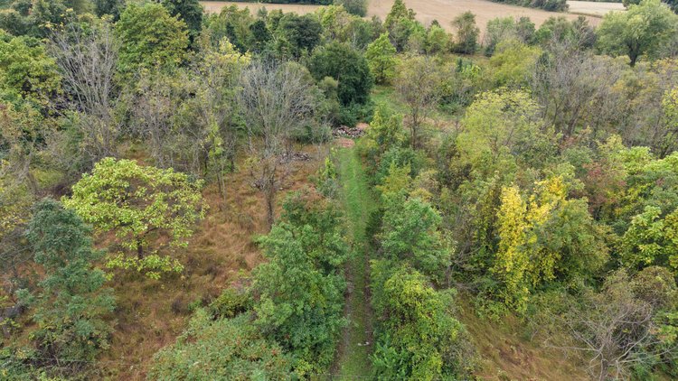 Image for Sealed Bid Land Auction | 8.6 Acres in Plumstead Twp | 5052 Silo Hill Rd, Doylestown, PA 18902 | Bids Due By Nov. 19, 2026 at 4:00 PM
