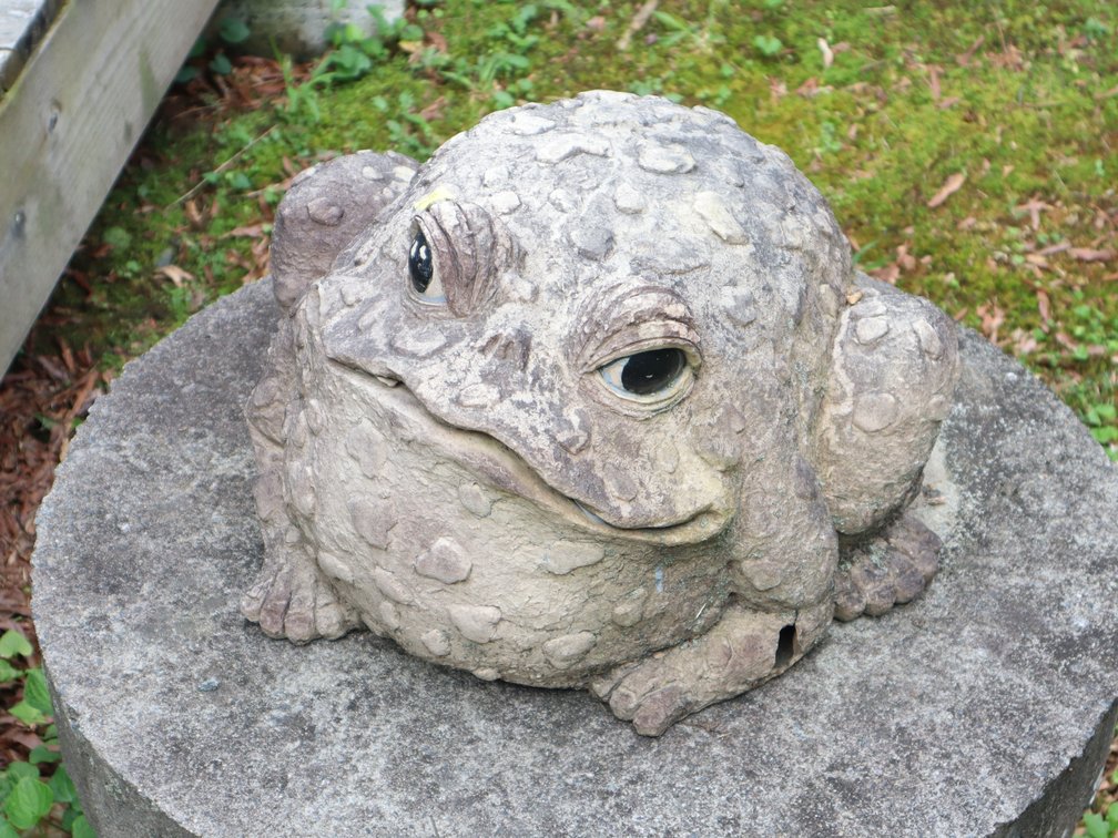 Image for SEAL