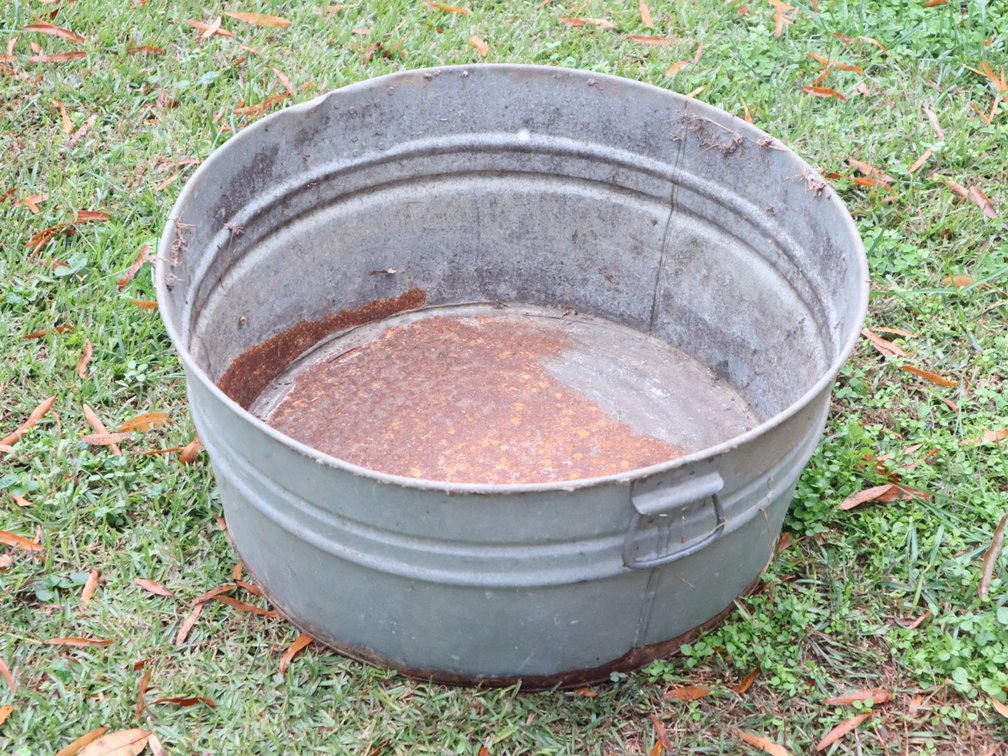 Image for ELECT