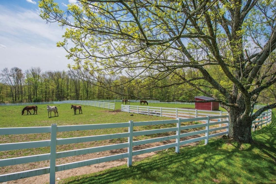 Image for Wonderland Farms - A 127+/- Acres Equestrian Estate