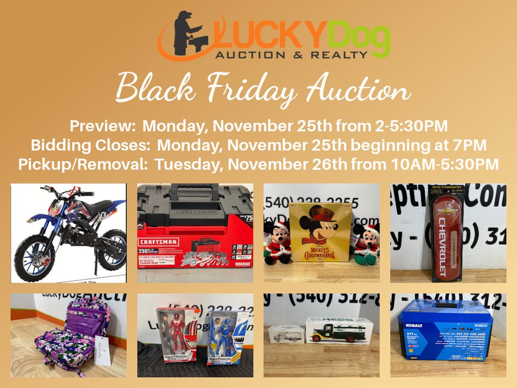 Image for Black Friday Auction