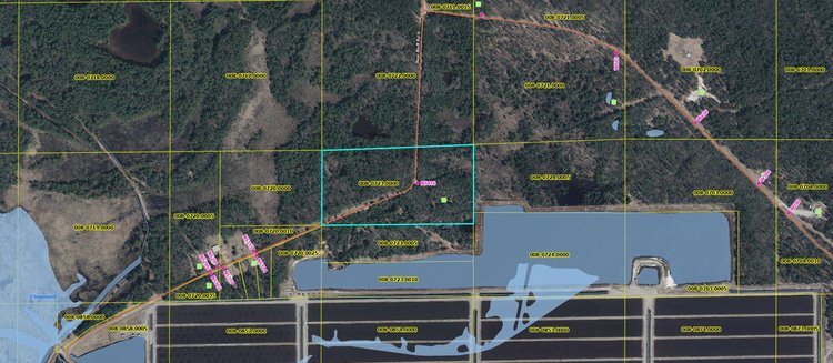 Image for SOLD!!!   MLS# 1940716 - 20 Acres Hunting Land