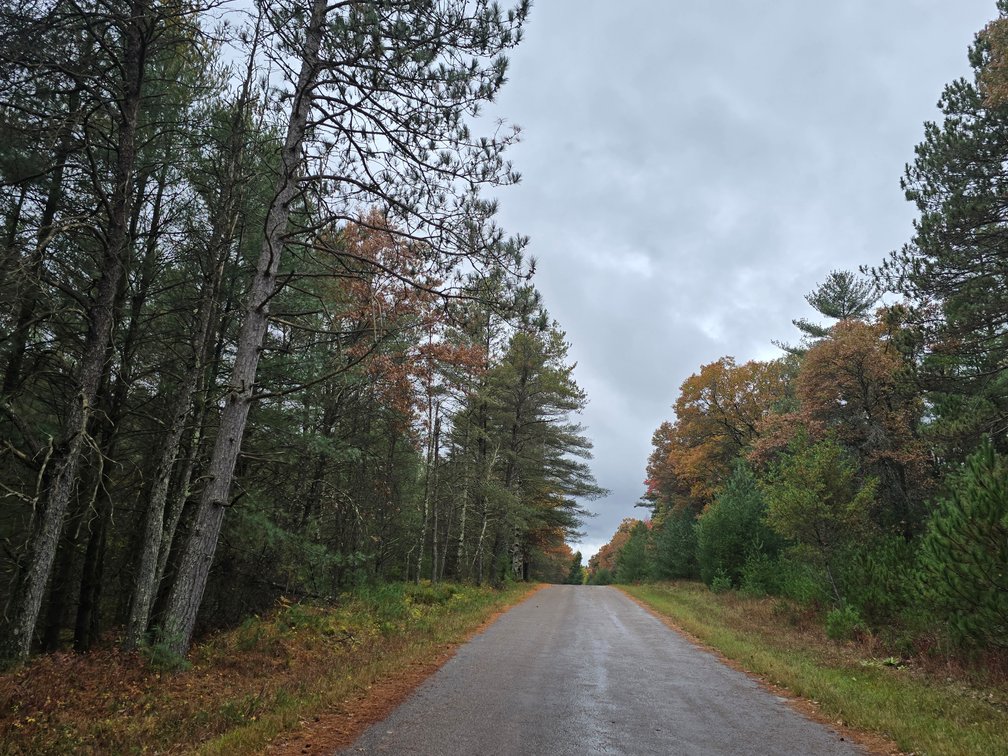 Image for SOLD!!!   MLS# 1940716 - 20 Acres Hunting Land