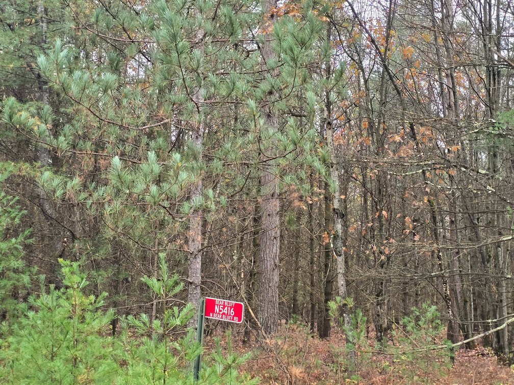 Image for SOLD!!!   MLS# 1940716 - 20 Acres Hunting Land