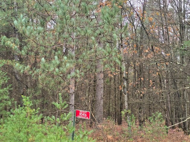 Image for SOLD!!!   MLS# 1940716 - 20 Acres Hunting Land