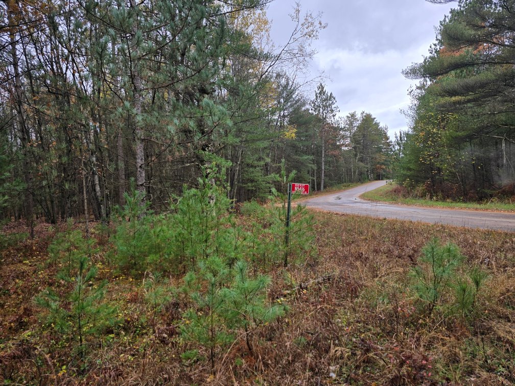 Image for SOLD!!!   MLS# 1940716 - 20 Acres Hunting Land