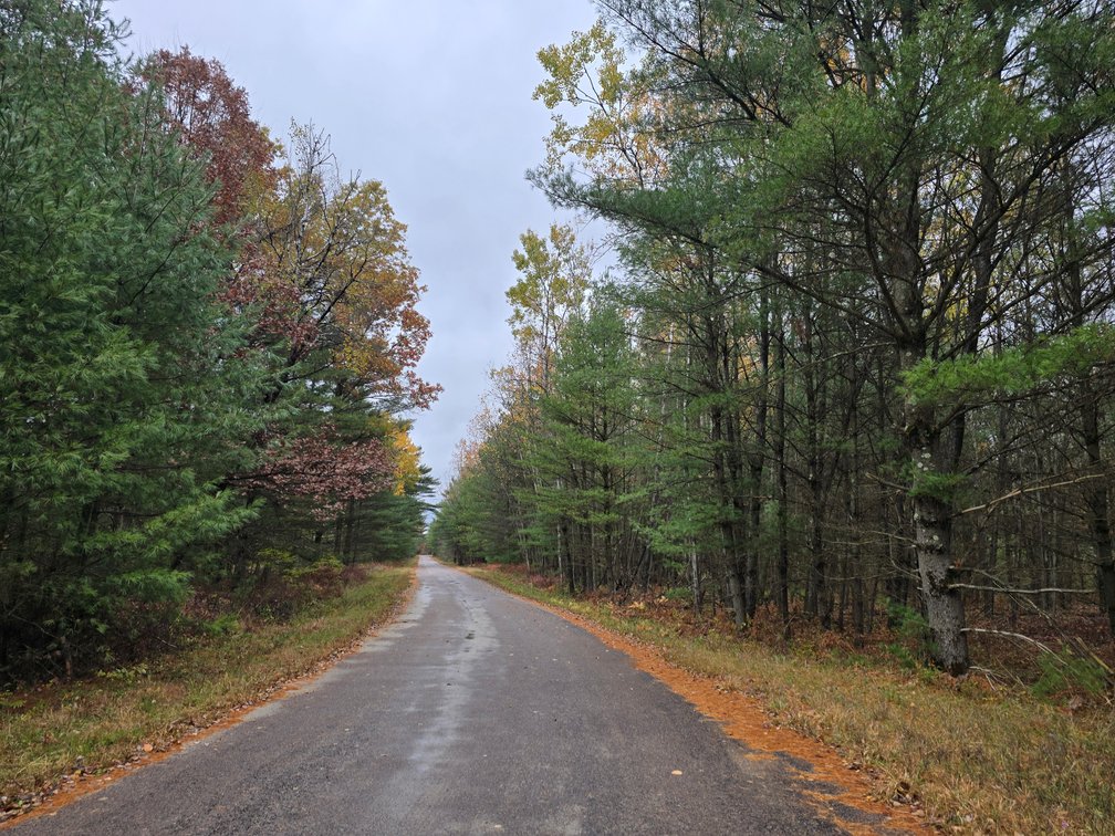Image for SOLD!!!   MLS# 1940716 - 20 Acres Hunting Land