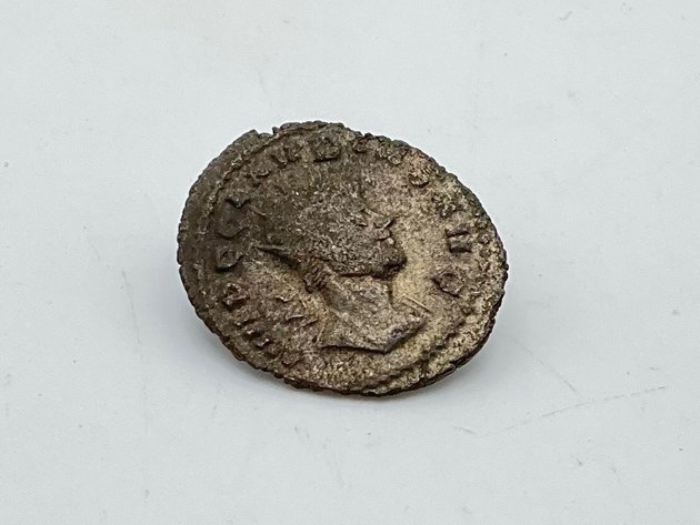 Image for January 2024 Coins