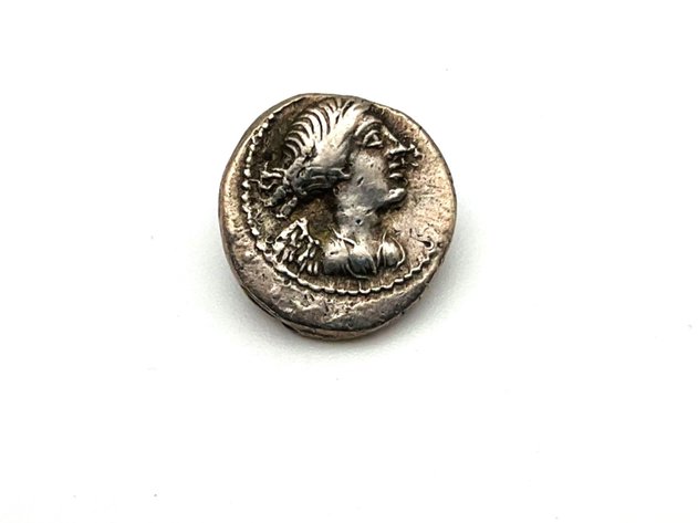 Image for Coins and Currency May 2024