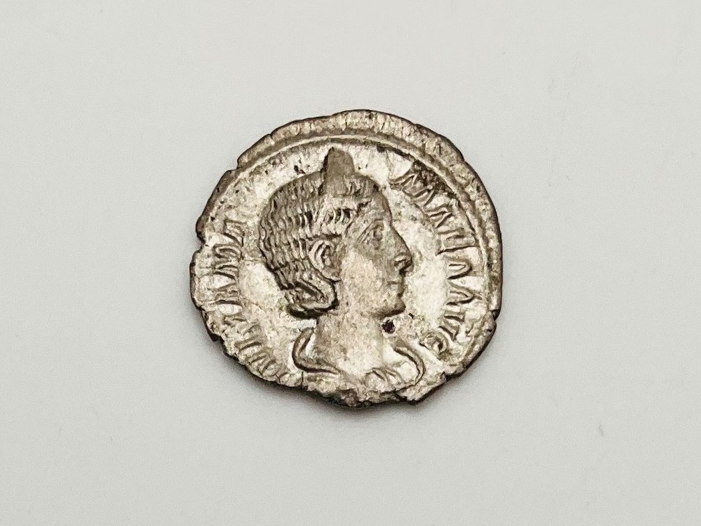 Image for Coins and Currency June 2024