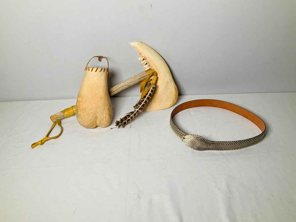 Image for Taxidermy & More-Colorado Springs