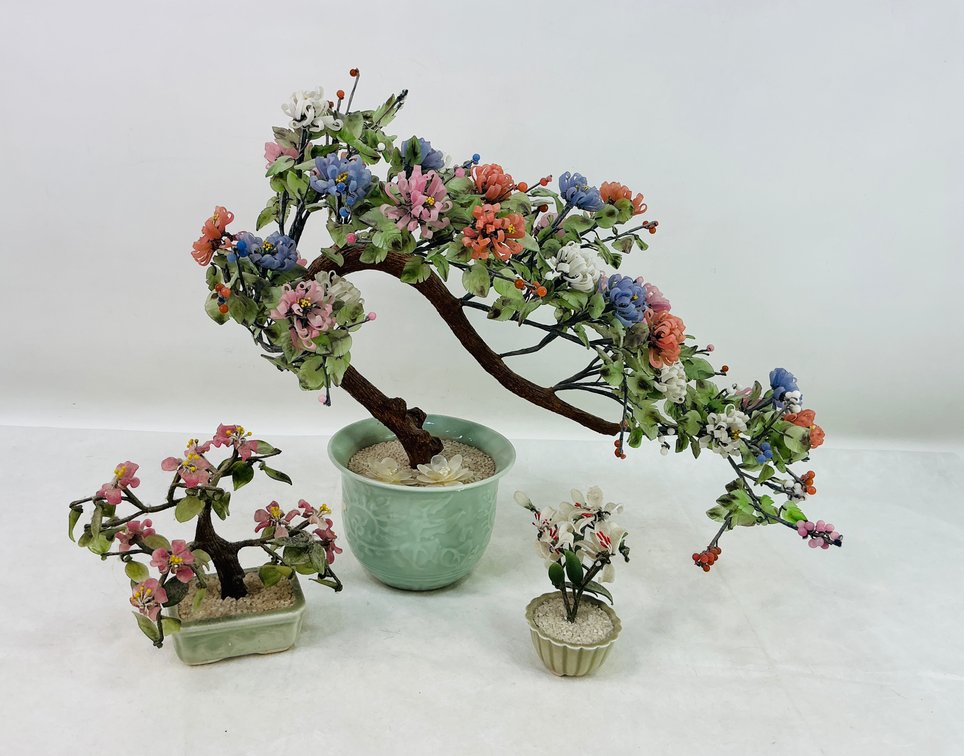 Image for Delightful Discoveries Jan. 2026