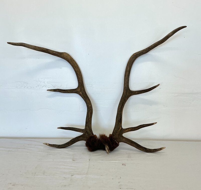 Image for Kings Deer Estate 2026 - Part 1