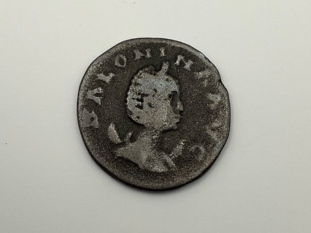 Image for Coin, Currency & Bullion June 2026