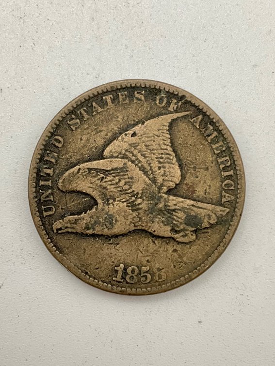 Image for Coins, Currency & Bullion August 2025
