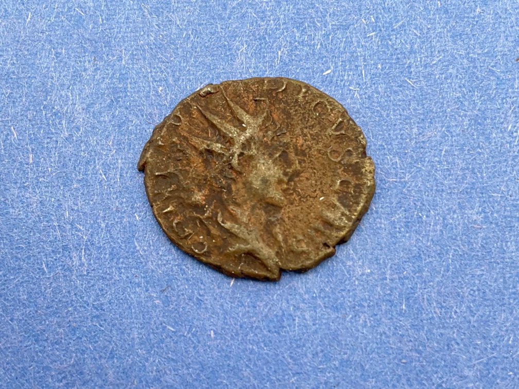 Image for Coins, Currency & Bullion September 2025