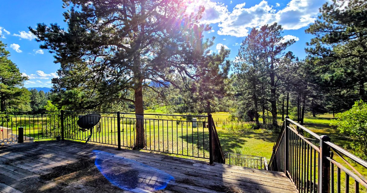 Image for Capella Drive Real Estate Auction