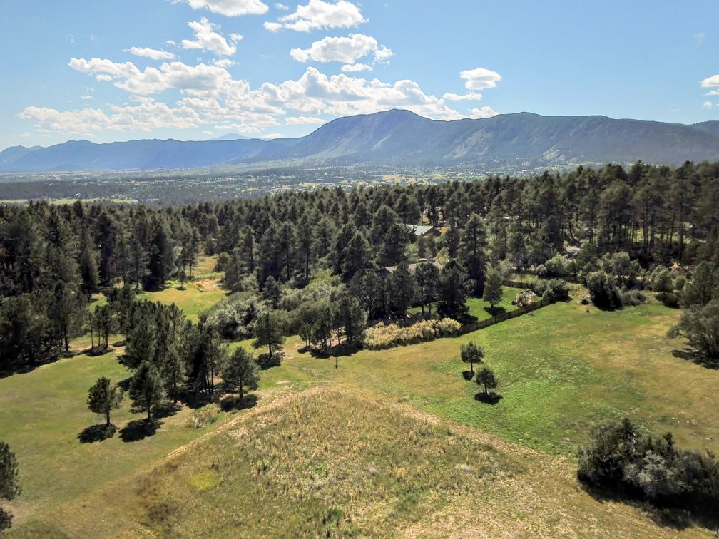 Image for Capella Drive Real Estate Auction