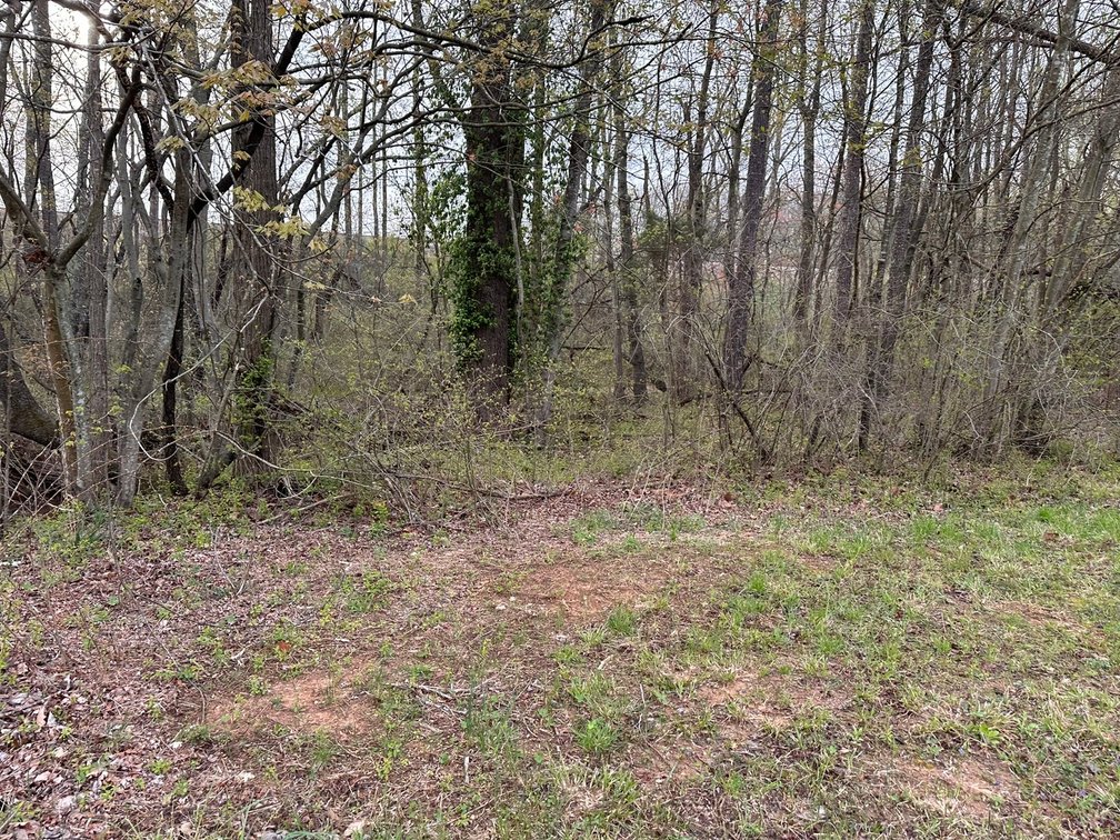 Image for 10 lots-N Main St Gretna VA Selling All For One Money!