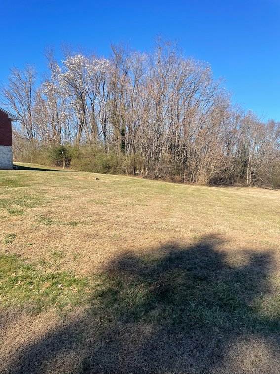 Image for Martinsville Real Estate Auction
