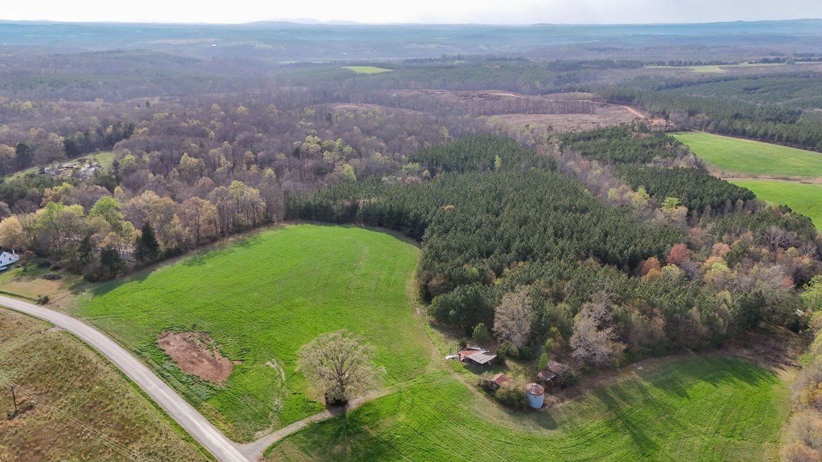 Image for **SOLD** 95.5± Acres In Gladys Being Sold in Multiple Tracts