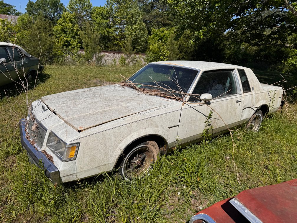 Image for Long Island Motors Auction