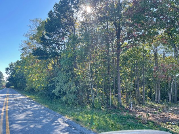 Image for Greenhouse Rd Land Auction