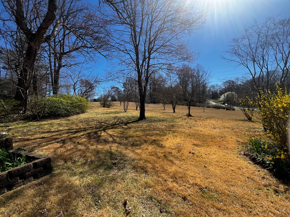 Advance Brick Rancher Auction