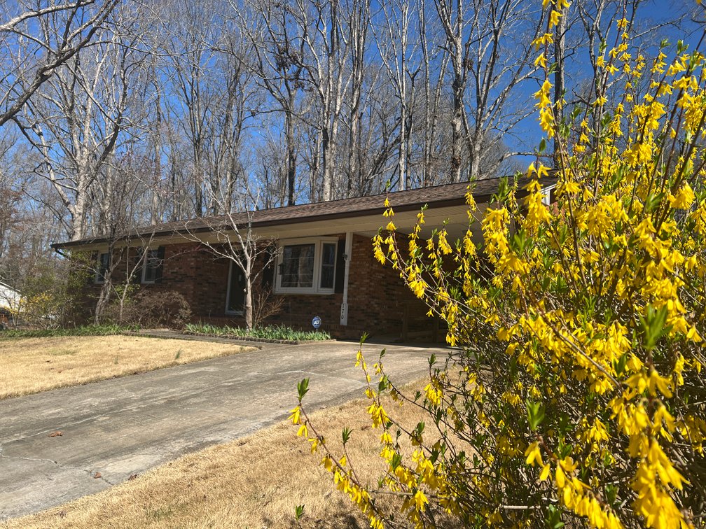 Advance Brick Rancher Auction