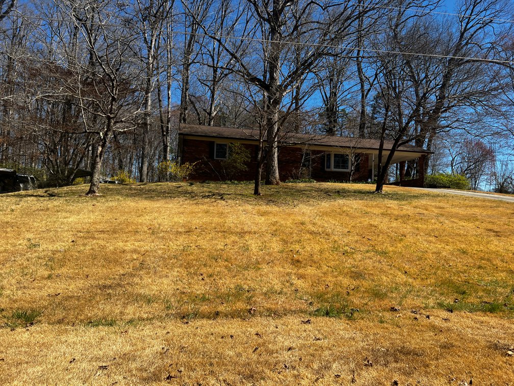 Advance Brick Rancher Auction