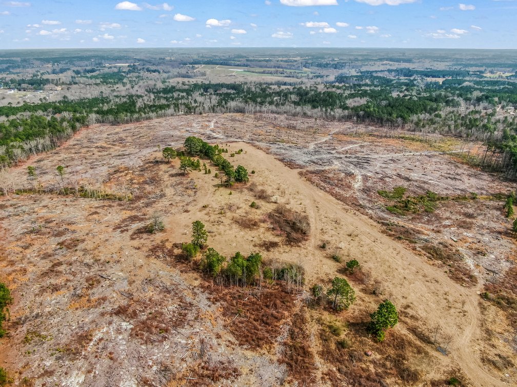 Auction for 119 + - Acres Carthage, NC  Moore County