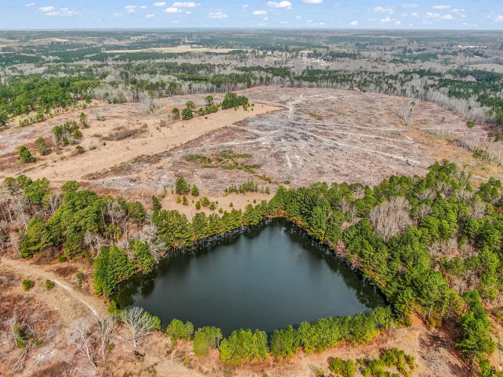 Auction for 119 + - Acres Carthage, NC  Moore County